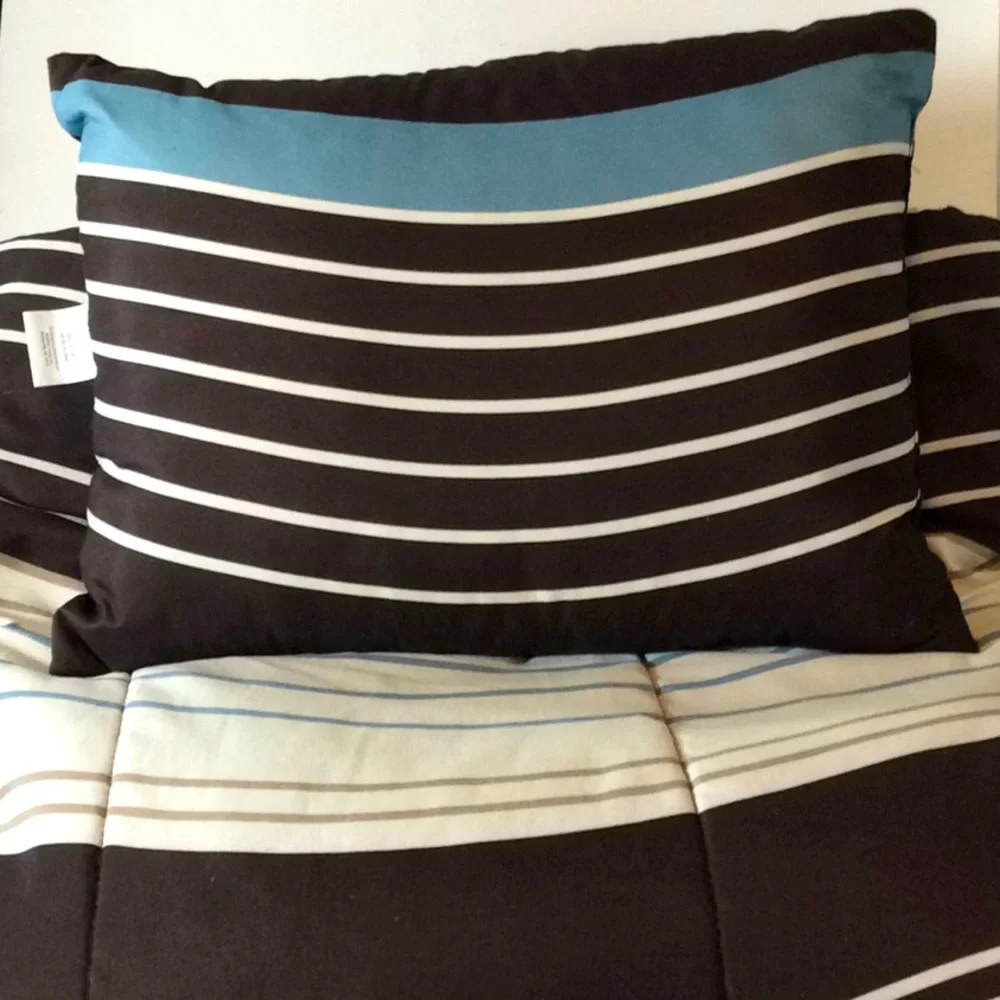 Full Size Comforter with Coordinating Throw Pillow